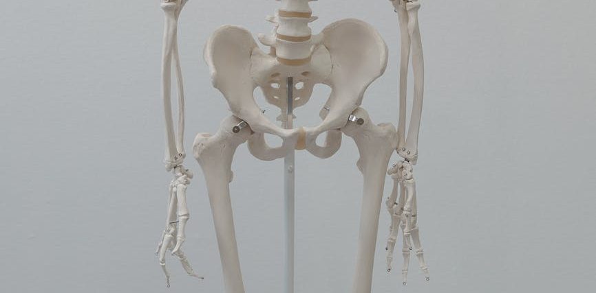 The anatomy of the Men’s Thong
